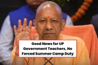 UP Teacher Summer Camp 2025